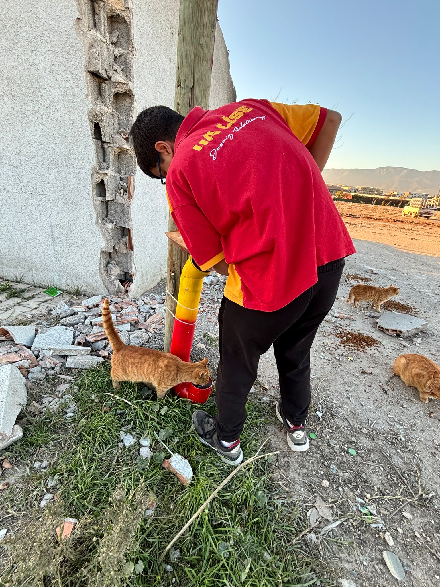 ultrAslanLİSE Hatay’dan Patili Dostlarımıza Destek